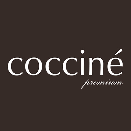 COCCINE RAVVIVANT SPRAY (38) NAVY BLUE 250ml – Renowator do Zamszu i Nubuku