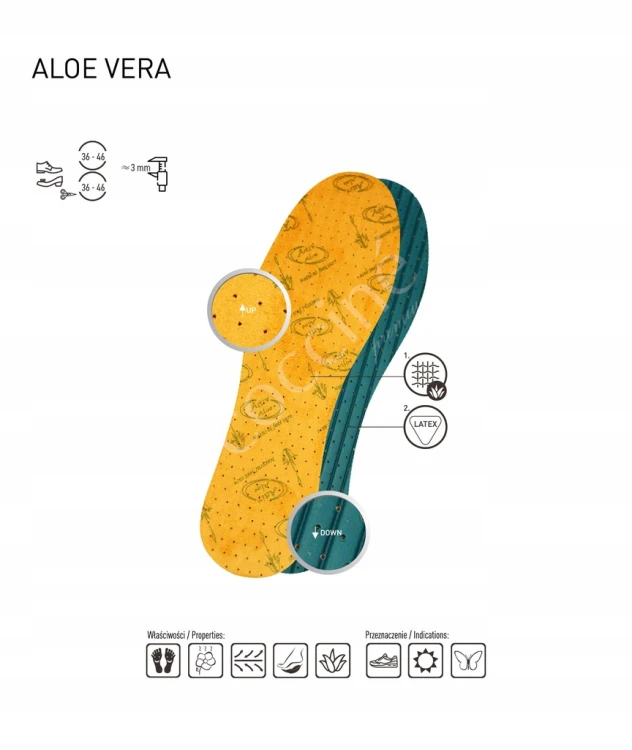 COCCINE LATEX ALOE VERA Wkładki do butów 36–46 | Komfort, świeżość, higiena