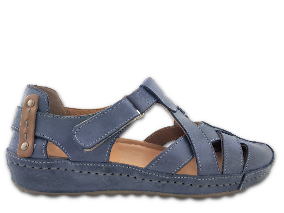 ZS 74 BLUE WOSK